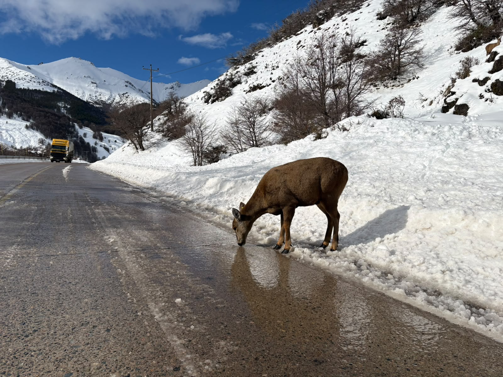 Imagen de Patagonia